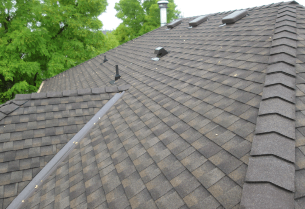 a close up of a roof with a tree in the background.