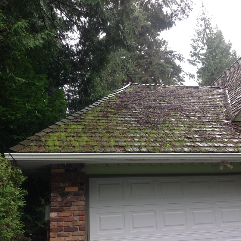 a roof with moss growing on it.