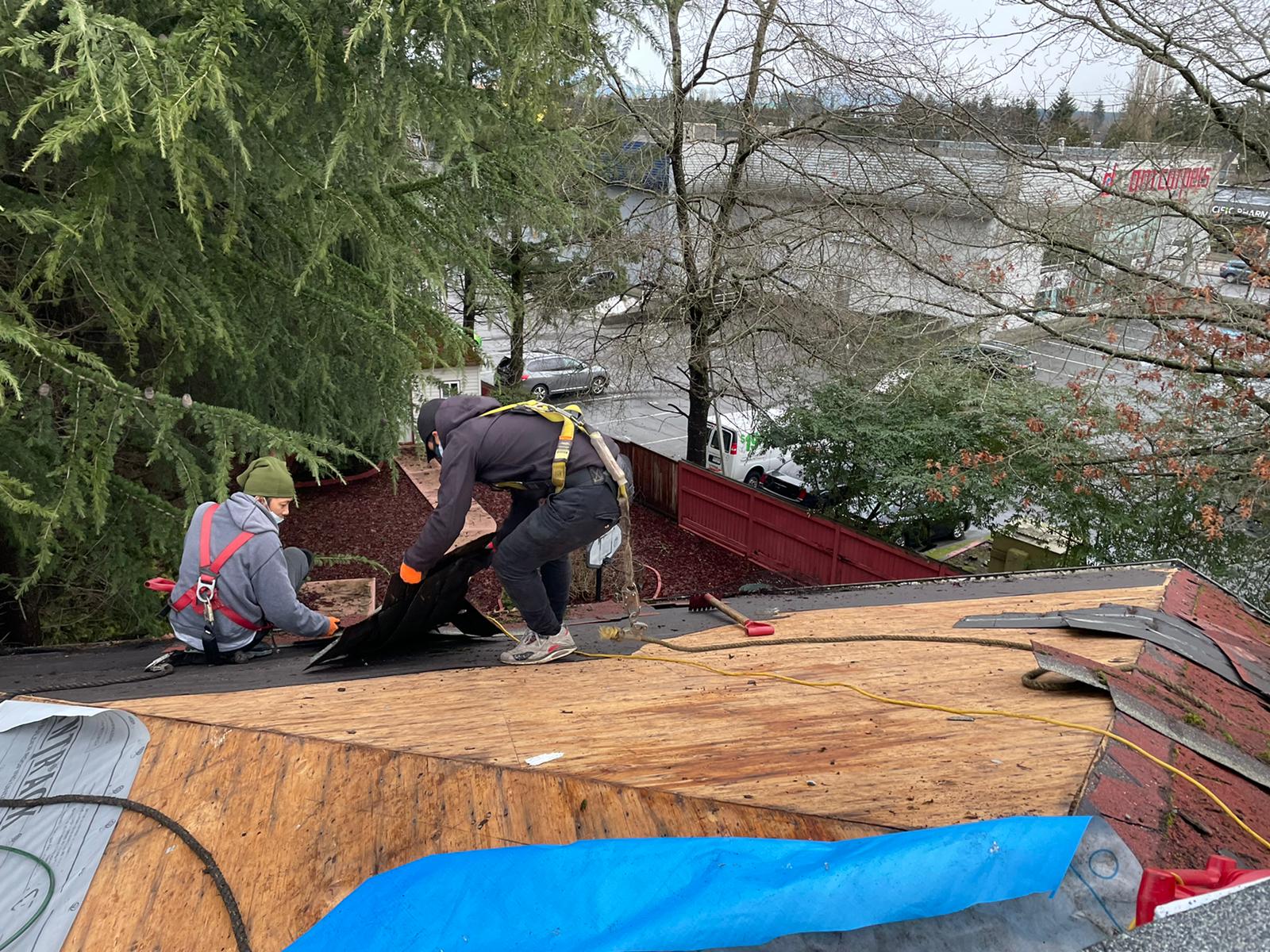 Vancouver Roofers roofing