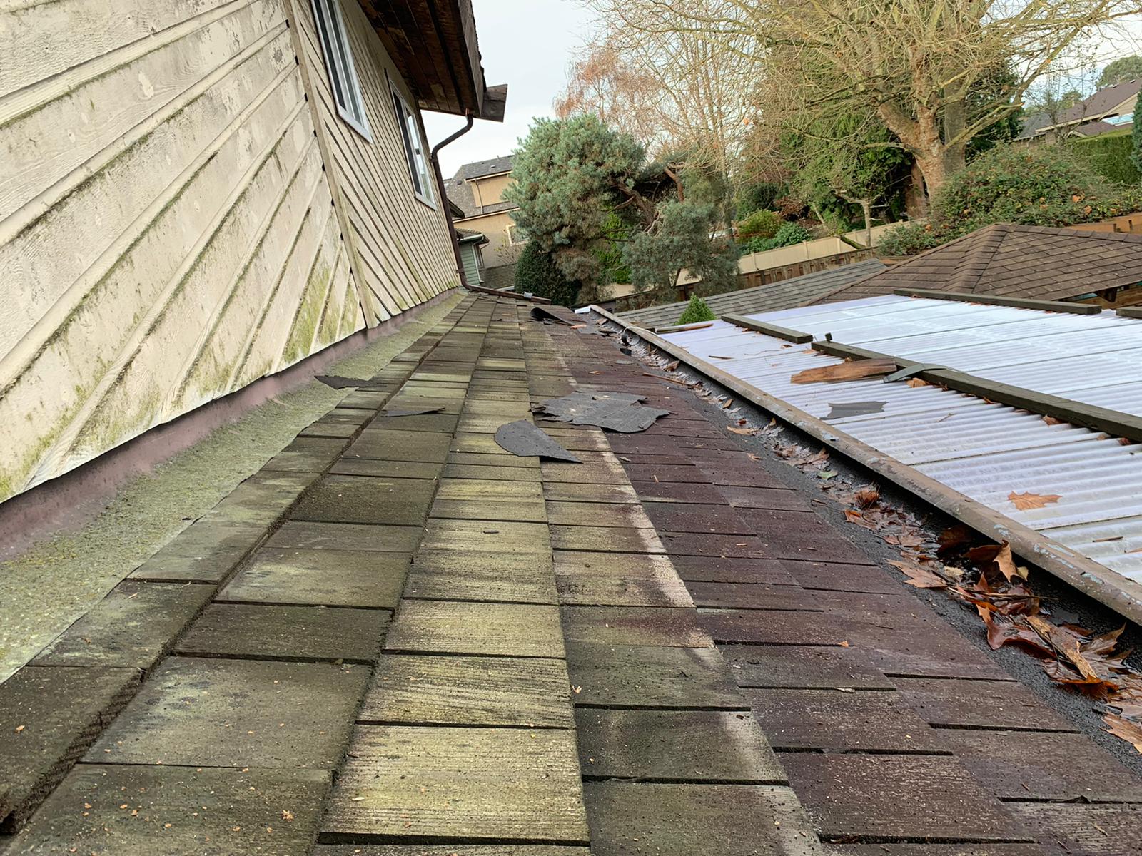south surrey roof replacement