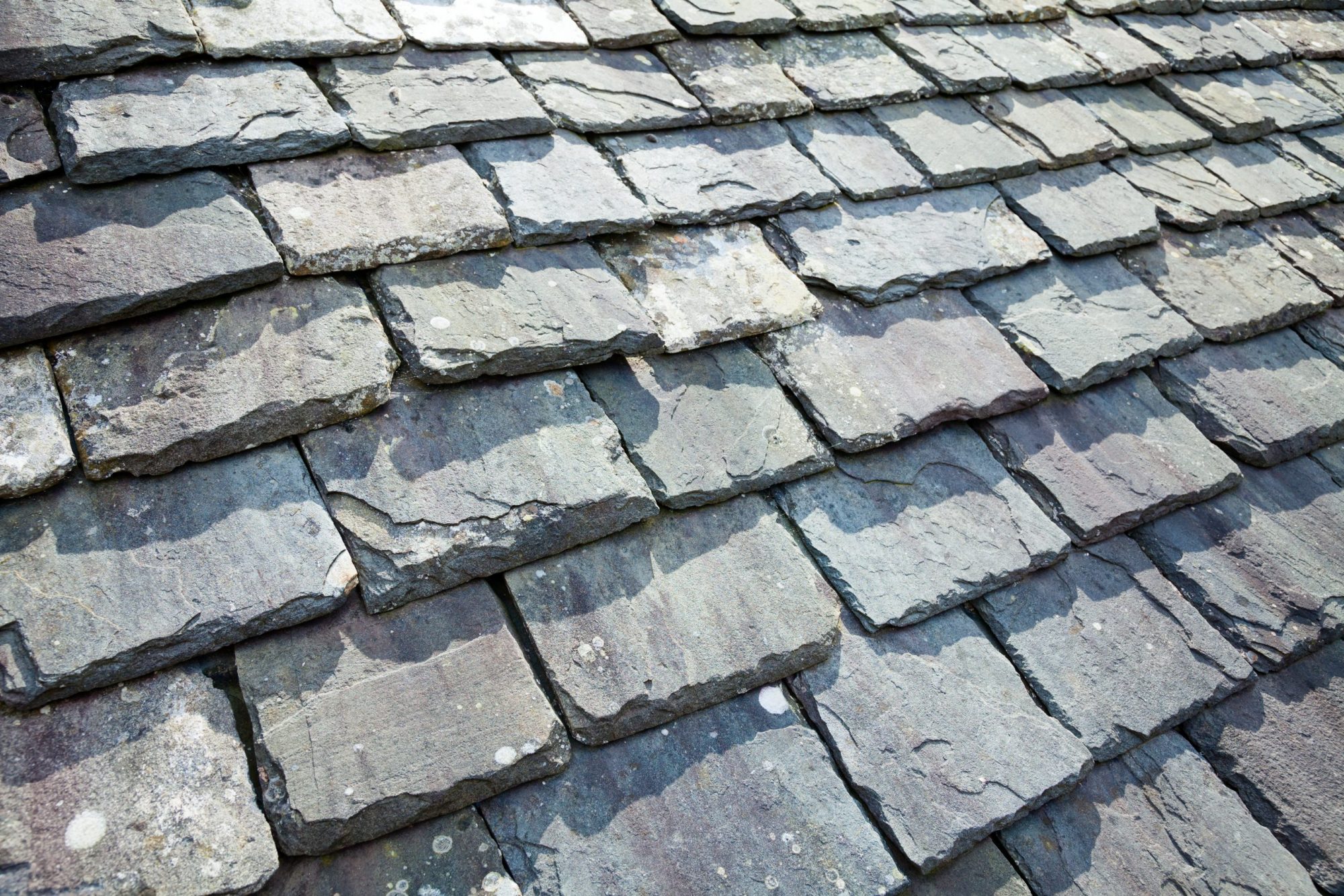 A close up of a slate roof in Vancouver.